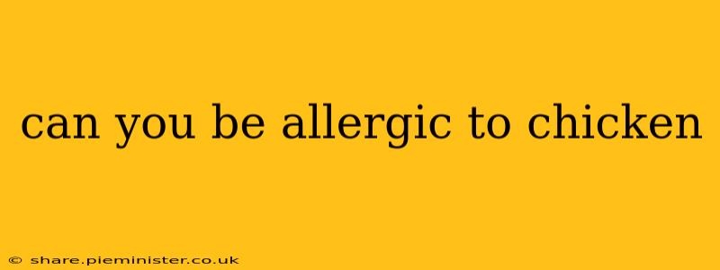 can you be allergic to chicken