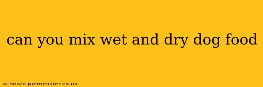 can you mix wet and dry dog food