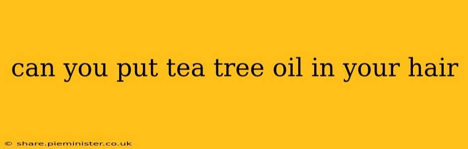 can you put tea tree oil in your hair