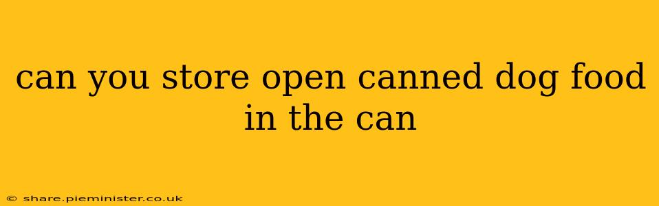 can you store open canned dog food in the can