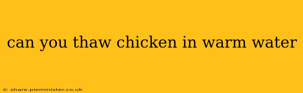 can you thaw chicken in warm water