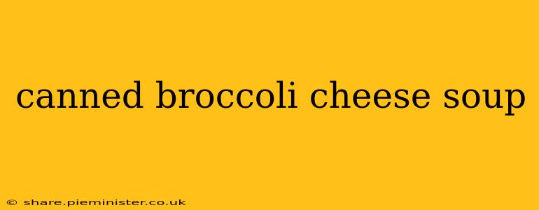 canned broccoli cheese soup