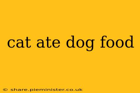 cat ate dog food