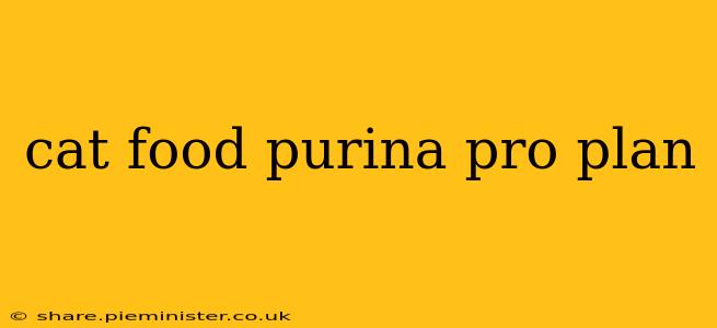 cat food purina pro plan