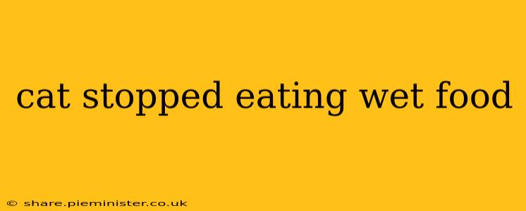 cat stopped eating wet food