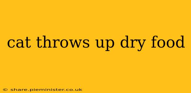 cat throws up dry food