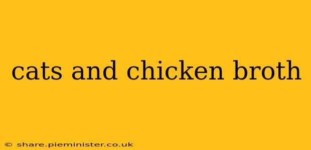 cats and chicken broth