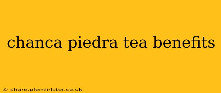 chanca piedra tea benefits