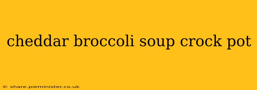 cheddar broccoli soup crock pot