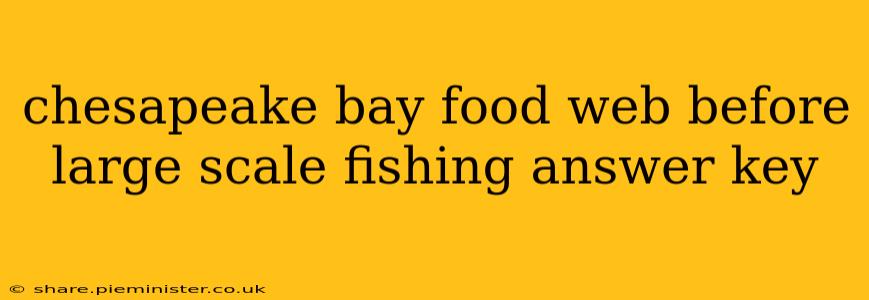 chesapeake bay food web before large scale fishing answer key