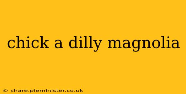 chick a dilly magnolia