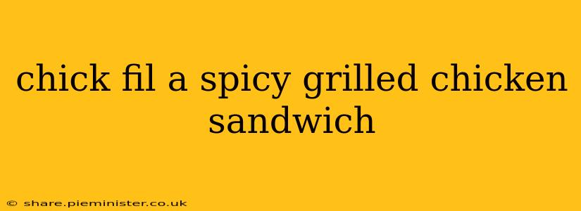 chick fil a spicy grilled chicken sandwich