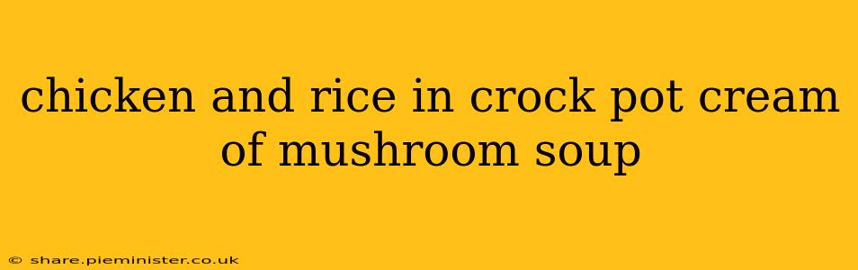 chicken and rice in crock pot cream of mushroom soup