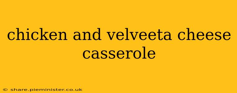 chicken and velveeta cheese casserole