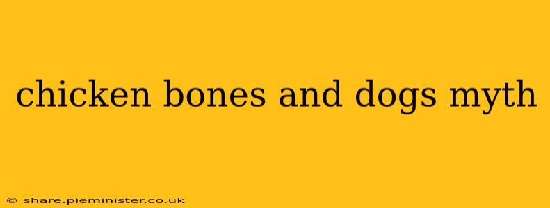 chicken bones and dogs myth