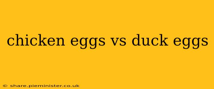 chicken eggs vs duck eggs