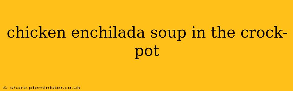 chicken enchilada soup in the crock-pot