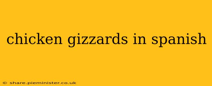 chicken gizzards in spanish
