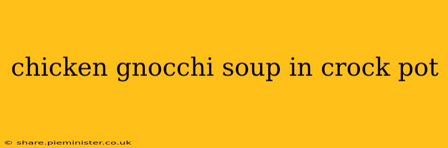 chicken gnocchi soup in crock pot
