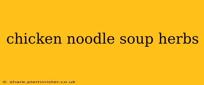 chicken noodle soup herbs