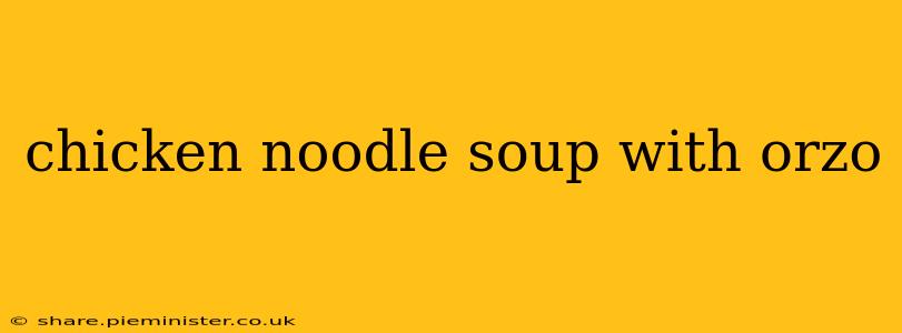 chicken noodle soup with orzo