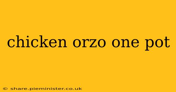 chicken orzo one pot