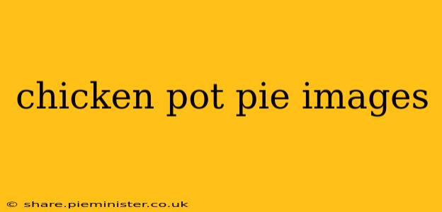 chicken pot pie images