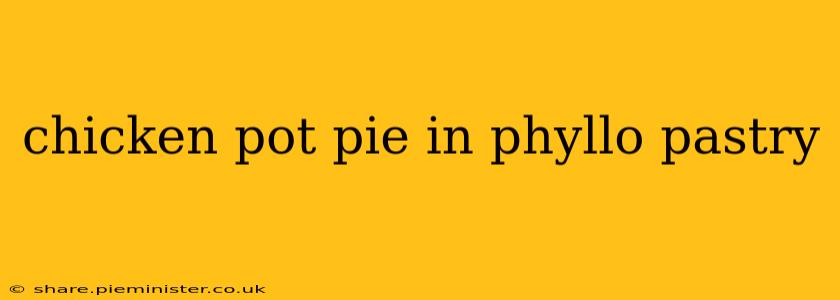 chicken pot pie in phyllo pastry