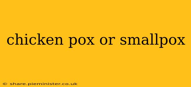 chicken pox or smallpox