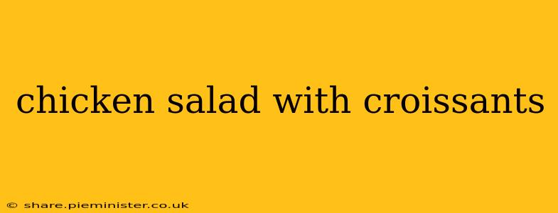 chicken salad with croissants