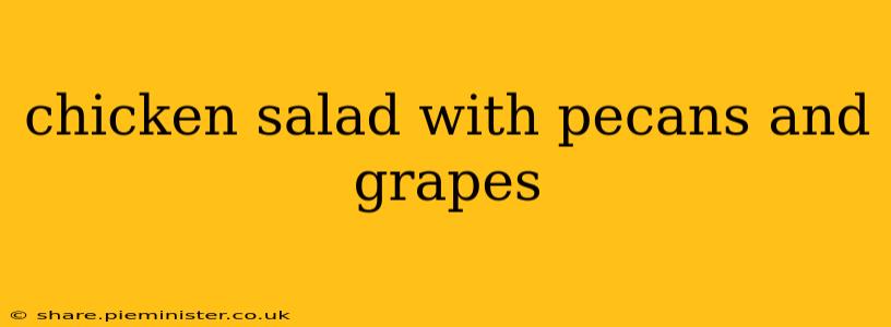 chicken salad with pecans and grapes