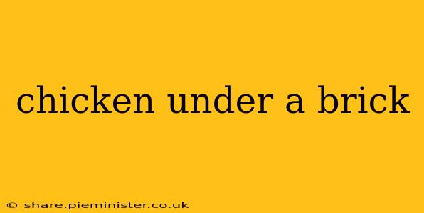 chicken under a brick