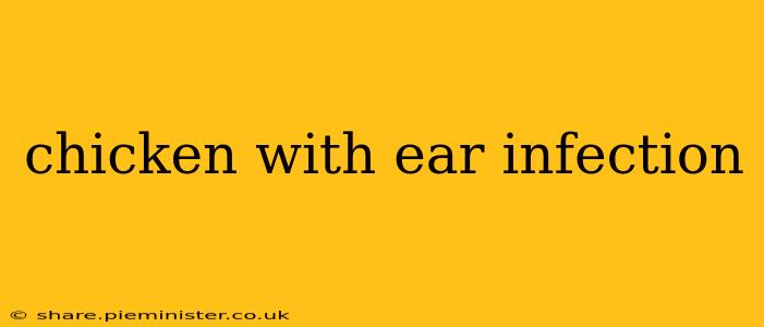 chicken with ear infection