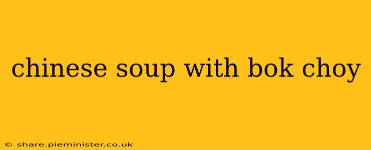 chinese soup with bok choy