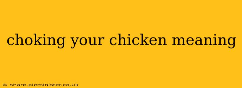 choking your chicken meaning