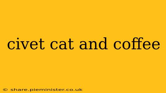 civet cat and coffee