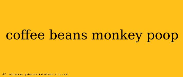 coffee beans monkey poop