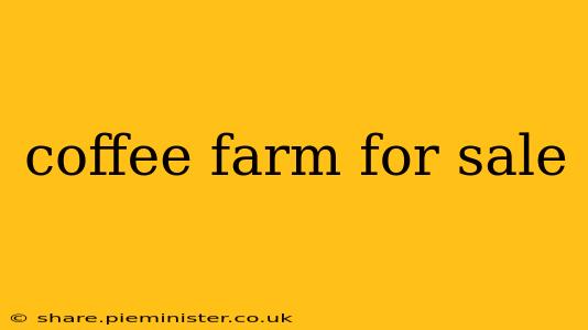 coffee farm for sale