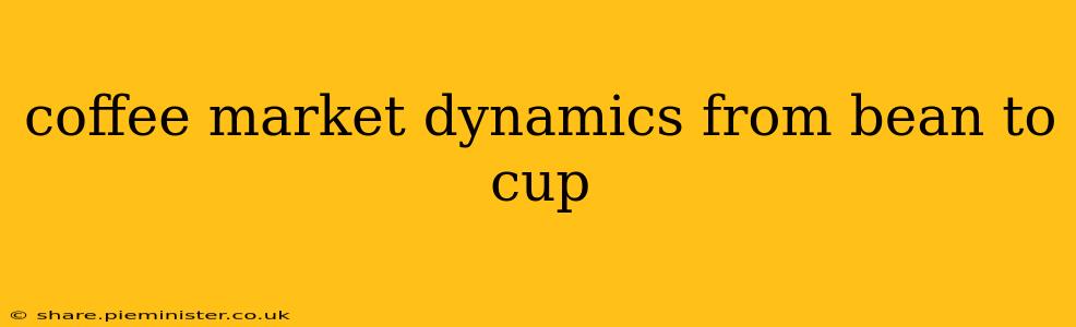coffee market dynamics from bean to cup