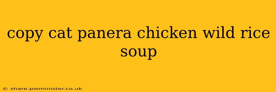 copy cat panera chicken wild rice soup