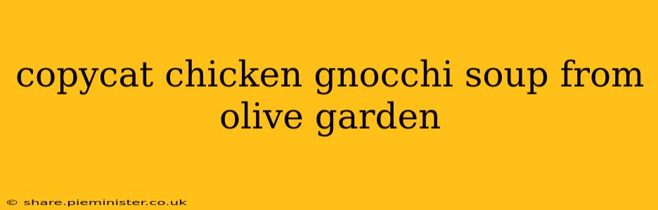 copycat chicken gnocchi soup from olive garden