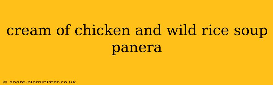 cream of chicken and wild rice soup panera