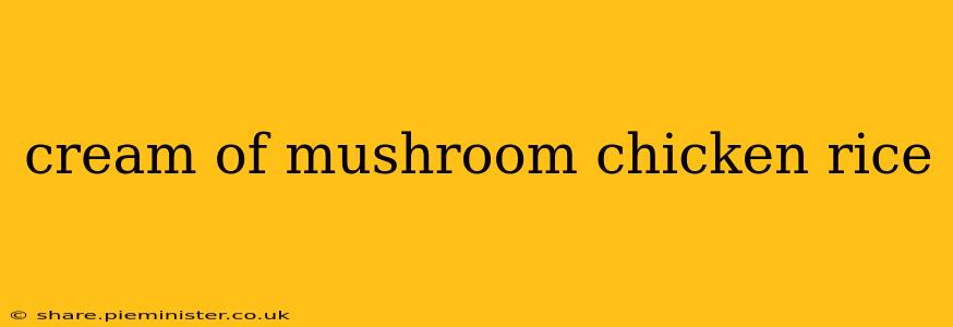 cream of mushroom chicken rice