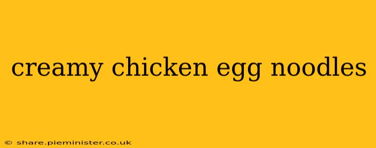 creamy chicken egg noodles