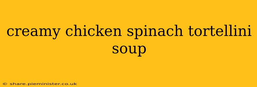 creamy chicken spinach tortellini soup