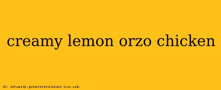 creamy lemon orzo chicken