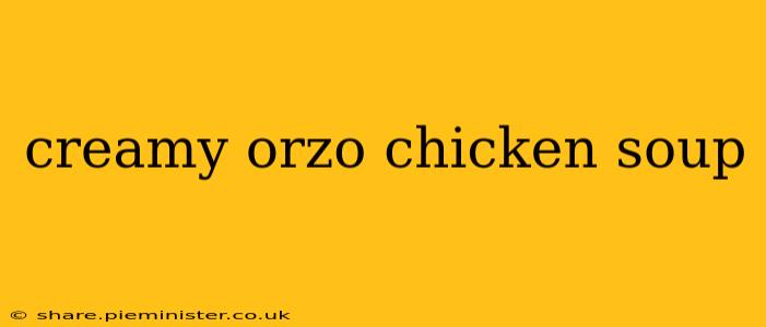 creamy orzo chicken soup