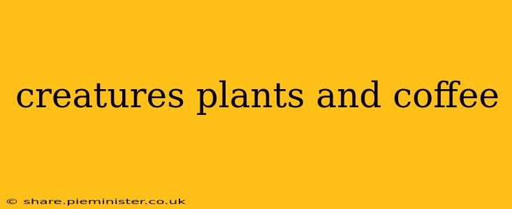 creatures plants and coffee