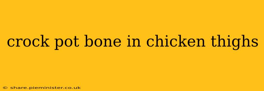 crock pot bone in chicken thighs