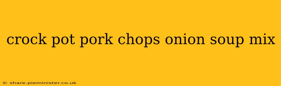 crock pot pork chops onion soup mix